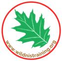 Veranstaltungsbild Wildnistraining I
